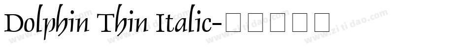 Dolphin Thin Italic字体转换